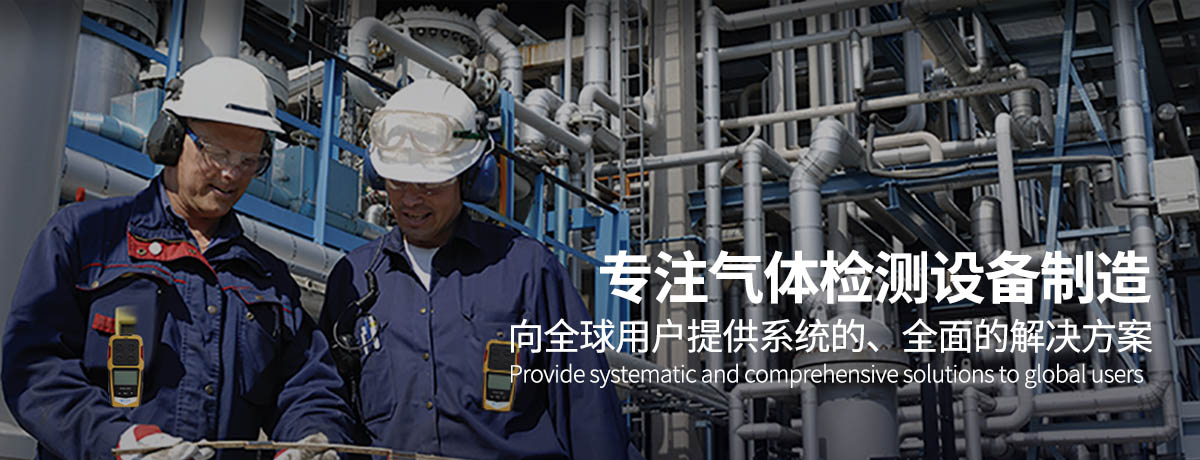 便攜擴散式氣體檢測儀-便攜有毒氣體測量儀-擴散式可燃氣體報警儀